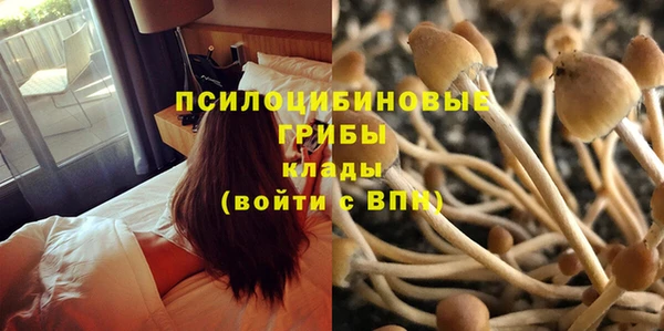 винт Алексин
