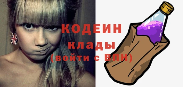 гашик Арсеньев