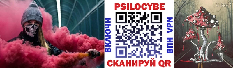 Псилоцибиновые грибы мицелий  Котовск 