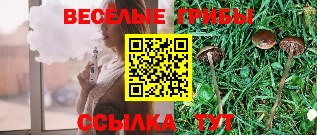 Котовск  Галлюциногенные грибы Cubensis  Галлюциногенные грибы ЛСД  где найти наркотики  Вход с VPN 